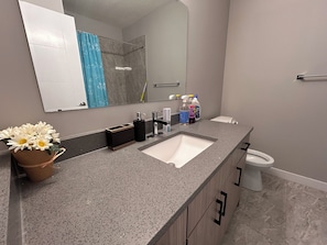 Bathroom living room