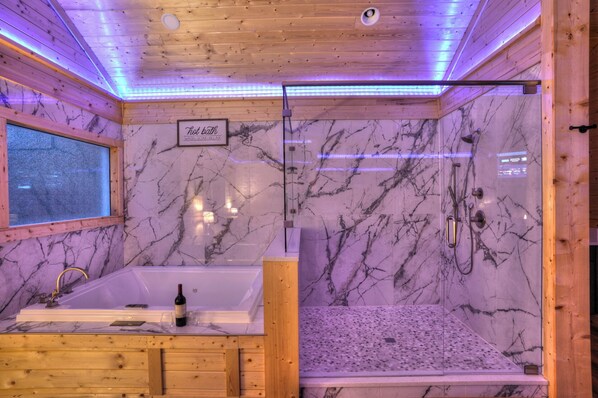 Huge Walk in Shower and 2 Person Spa