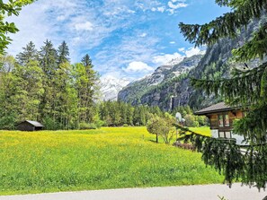 Tree, Mountainous Landforms, Mountain, Natural Landscape, Mountain Range, Highland, Hill Station, Valley, Forest, Alps