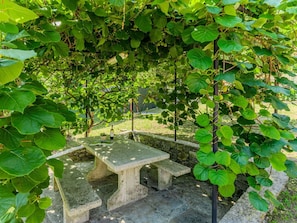 Leaf, Shade, Garden, Herb, Plantation