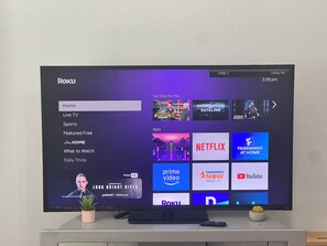 Television