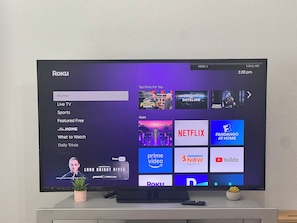 Television