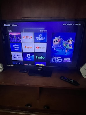 Television