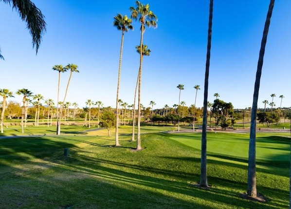 Golf