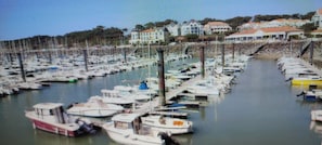 Marina