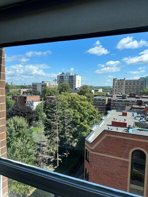 View of Jack Purcell Park and the Museum of Nature