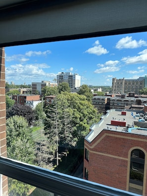 View of Jack Purcell Park and the Museum of Nature