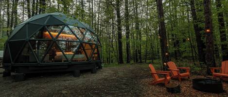 Enjoy a beautiful evening outside among the trees