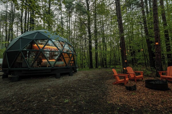 Enjoy a beautiful evening outside among the trees