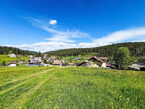 Gras, Sommer, Landschaft, Wiese, Wiese, Grundstueck, Ländliches Gebiet, Frühling, Feld