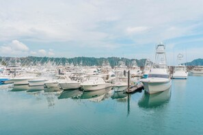 Marina