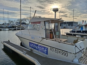 Marina