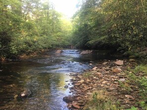 Paddy’s Creek which flows directly behind the cabin