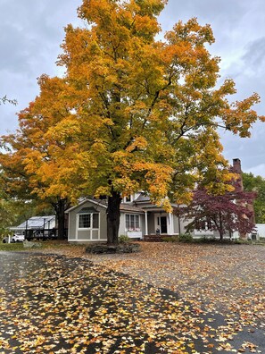 Udendørsområde