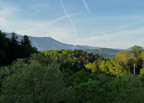 Sekalaista
