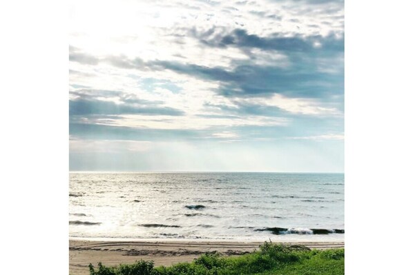 View from the front yard