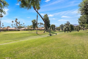 Open golf course with palm trees and peaceful surroundings