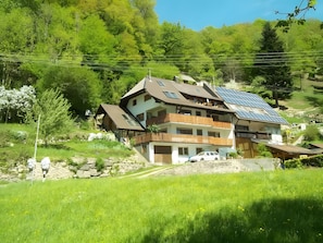 Ulkopuoli