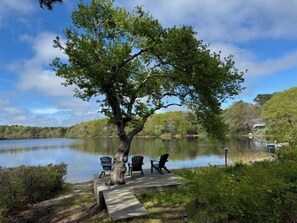 Fantastic Pond View