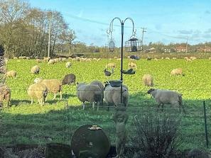 Kitchen/diner | The Stables, Knutsford