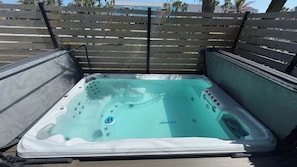 Swim Spa