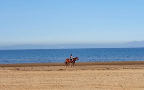 Playa