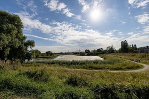 Motława River view – natural setting in Gdańsk