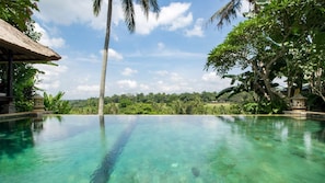Tranquil pool view with crystal-clear water, lush greenery, and a relaxing vibe