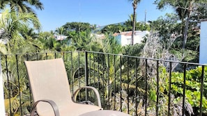 Tropical jungle view from this 4th floor apartment, breath taking sunrises and sunsets.