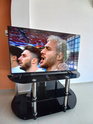 Fernseher
