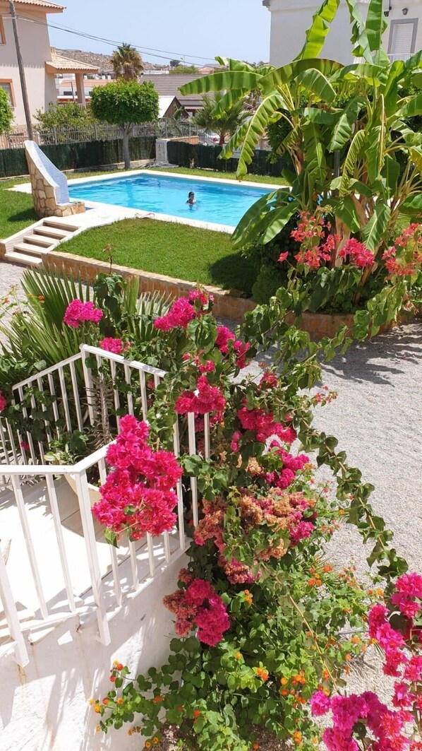 Communal swimming pool