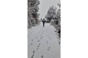 Wintersport/Ski