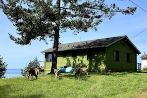 Extérieur