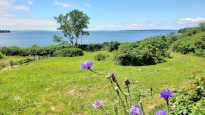 view of front field & ocean