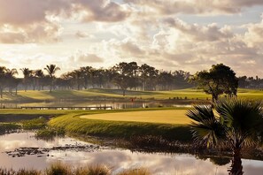 Golf Area