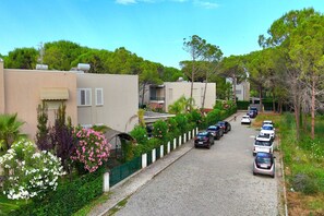 Immediate Surroundings [summer] (&lt;1 km)