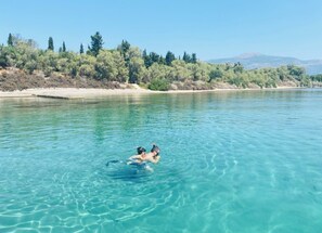 Divers
