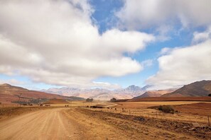 Luxury Farm Cottage in the Berg (711)
