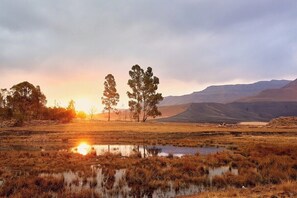 Luxury Farm Cottage in the Berg (710)