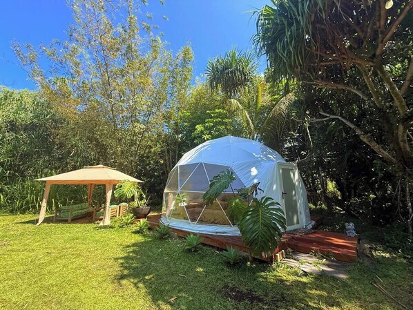 Spacious interior with two comfortable queen-sized beds, perfect for families or small groups.