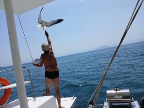 Divers
