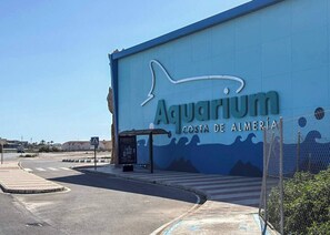 Aquarium Costa de Almería a 5 minutos.