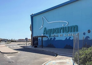 Aquarium Costa de Almería a 5 minutos.