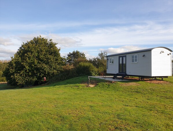 Isabel (Marsham): Situated at the top of the hill which gives commanding views over the grassland and woodland - the sunsets are spectacular!