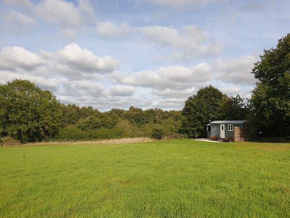 Florence (Marsham): Florence is nestled towards the bottom of the hill