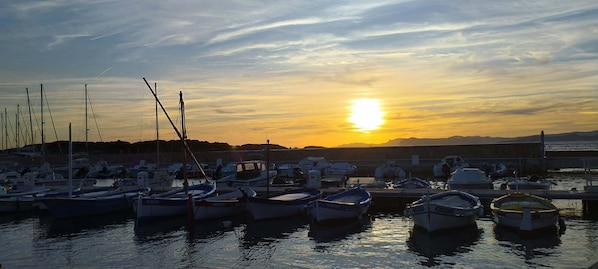 Marina