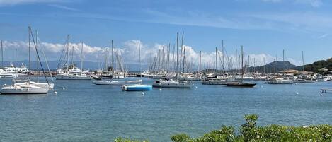 Marina