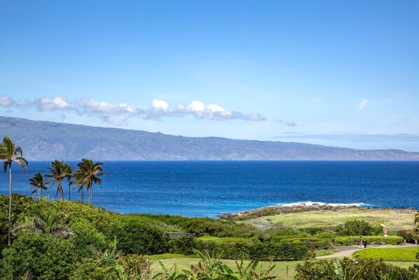 Hale-Honu-At-Montage-Kapalua-Bay Gaze out at endless blues where rolling greens meet the sea, and every breeze carries a whisper of paradise