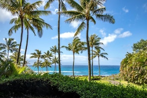 Hale Mala-At-Montage-Kapalua-Bay Wake up to a living painting: a canopy of palms, sapphire seas, and soft coastal winds brushing your soul clean