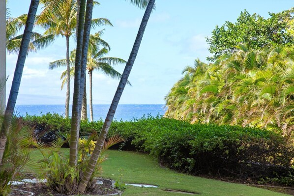 Hale Mala-At-Montage-Kapalua-Bay Wake up to a living painting: a canopy of palms, sapphire seas, and soft coastal winds brushing your soul clean